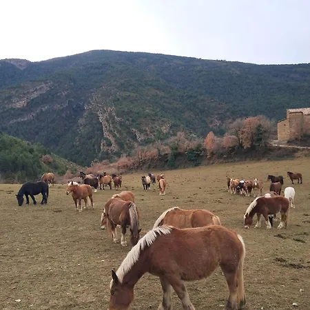 Tatil Evi Cal Foraster - Estorm