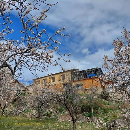 Holiday home Cal Foraster - *